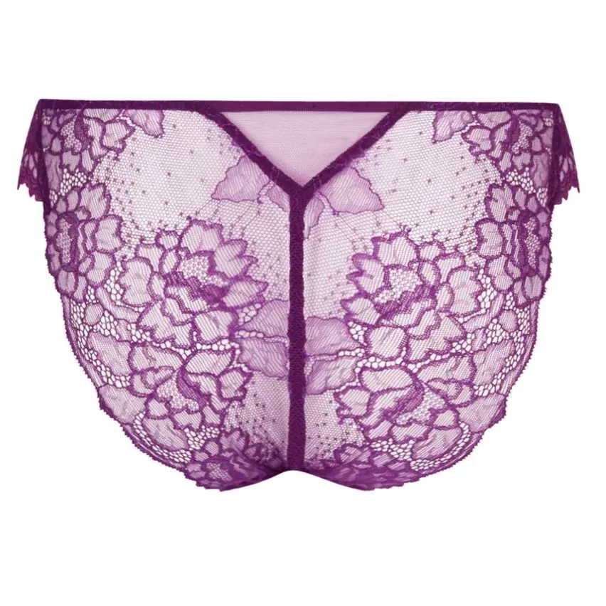 Lise Charmel Sublime En Dentelle Italian Brief ACH0713 in Iris