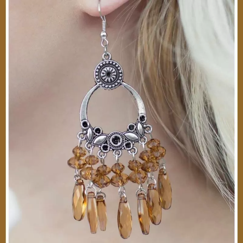 My Wish List Brown Earring