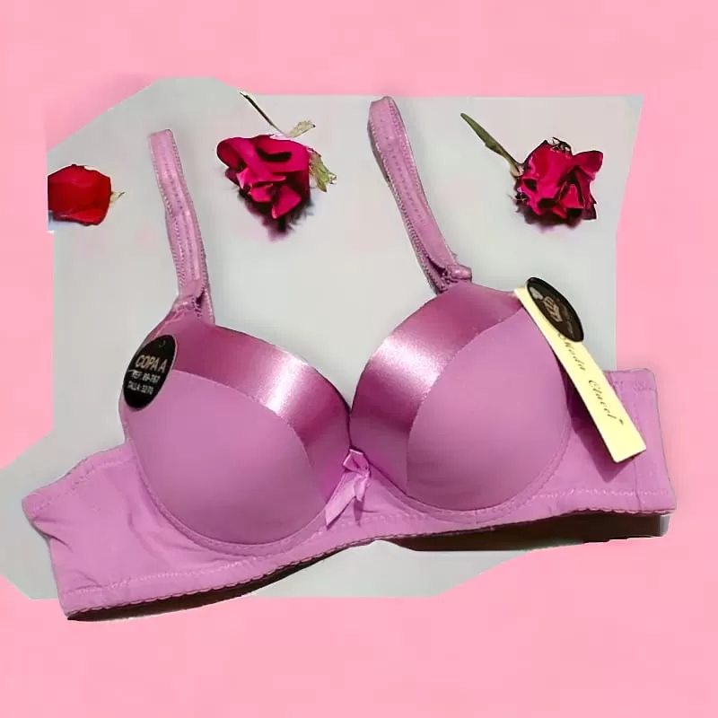 Silky Padded Bra for Women